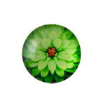 18mm Cabochon - Green Flower