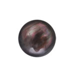 Cabochon - Shell - Black (18mm)