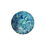 Cabochon - Shell - Blue (18mm)