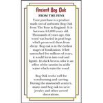 Anc. Bog Oak Pen Blank Cert. (10pk)