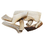 Beautiful Deer Antler (1lb)