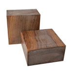 Chinese Elm 6 x 6 x 3"