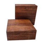 Red Canary 8 x 8 x 3"